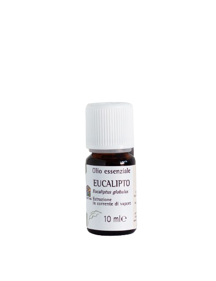Olio essenziale di Eucalipto 10 ml - Olfattiva